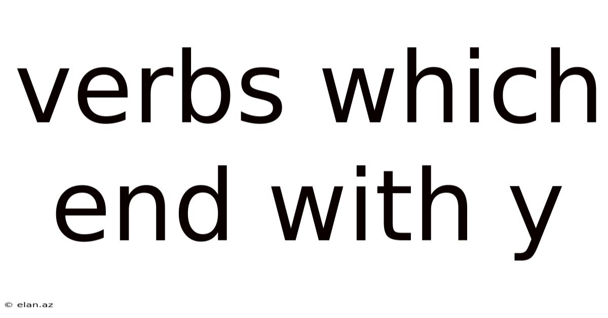 Verbs Which End With Y