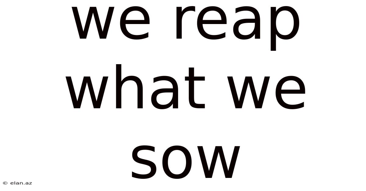 We Reap What We Sow