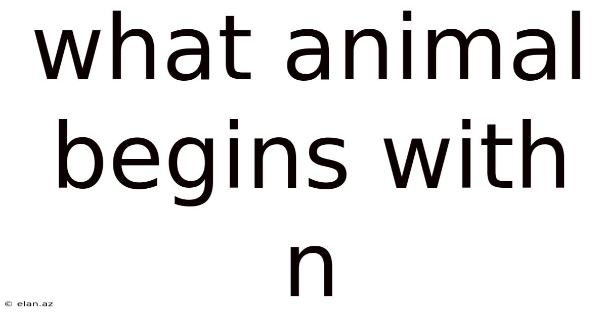 What Animal Begins With N