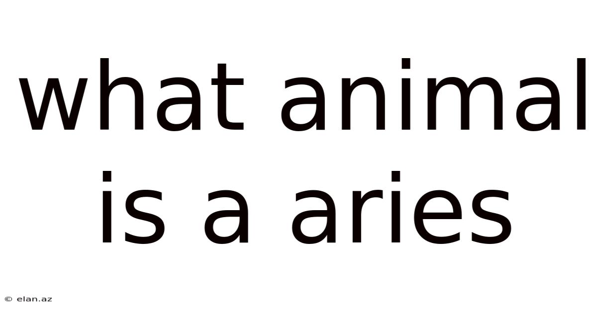 What Animal Is A Aries