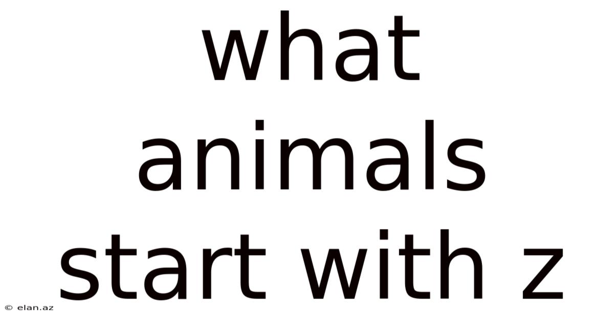 What Animals Start With Z