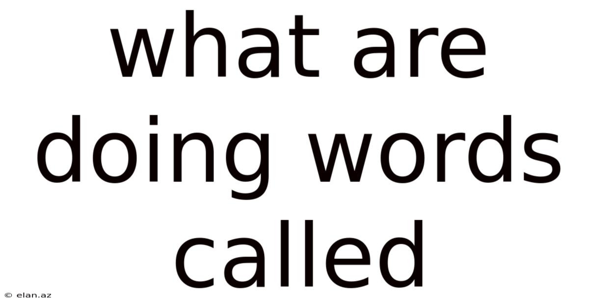 What Are Doing Words Called