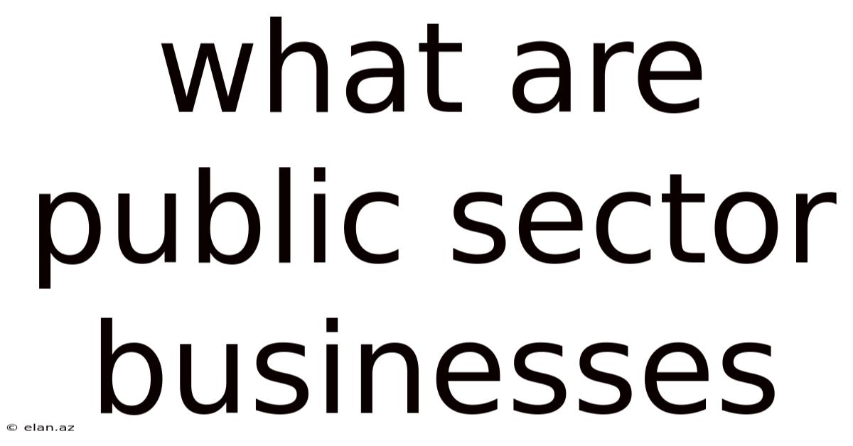 What Are Public Sector Businesses