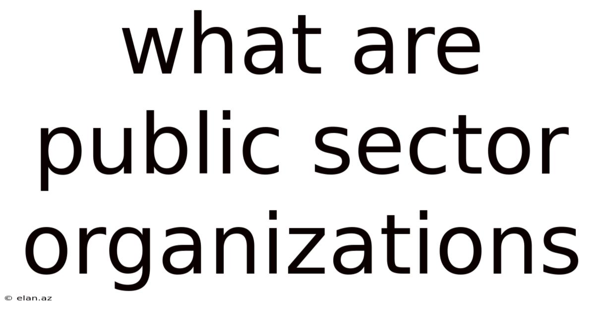 What Are Public Sector Organizations