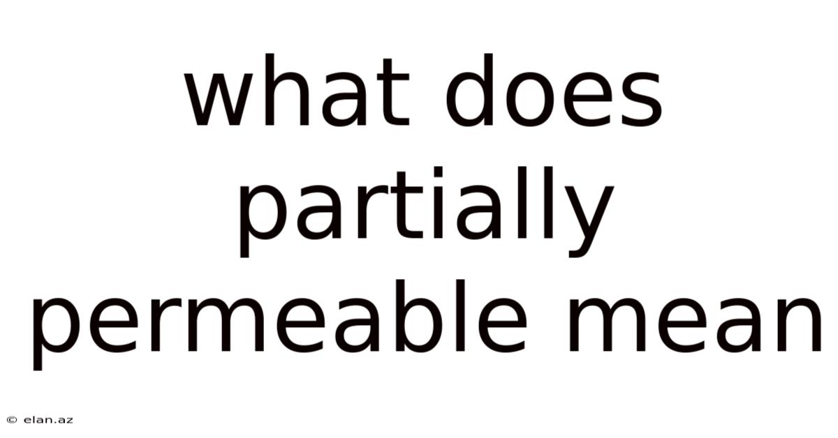 What Does Partially Permeable Mean