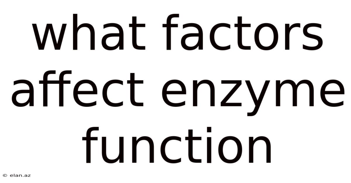 What Factors Affect Enzyme Function