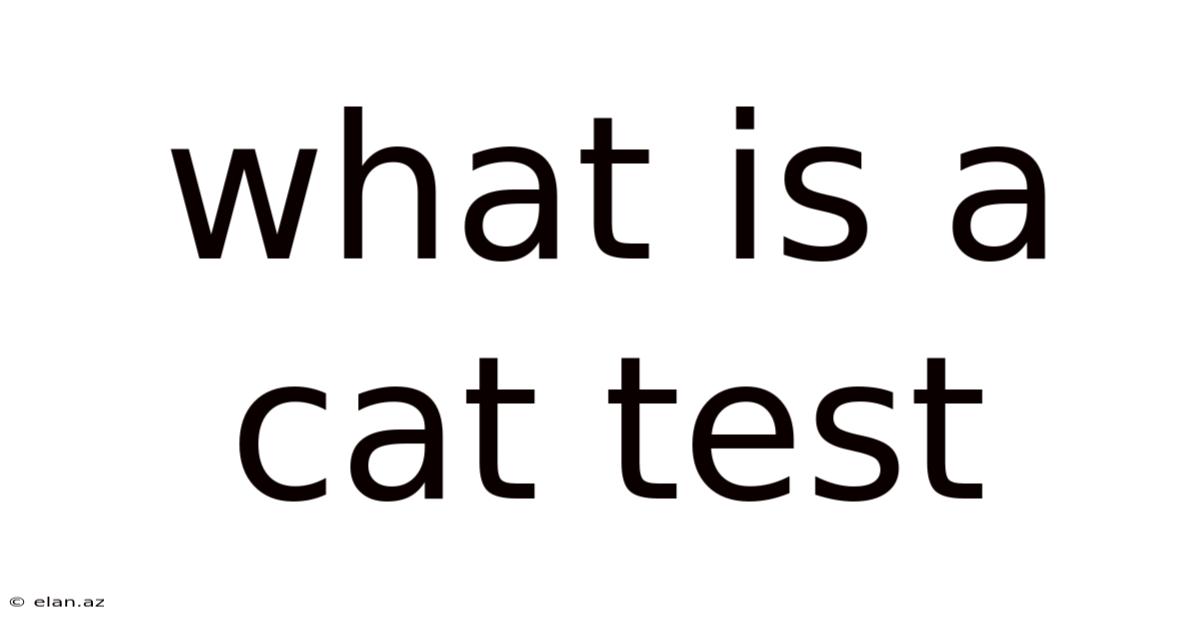 What Is A Cat Test