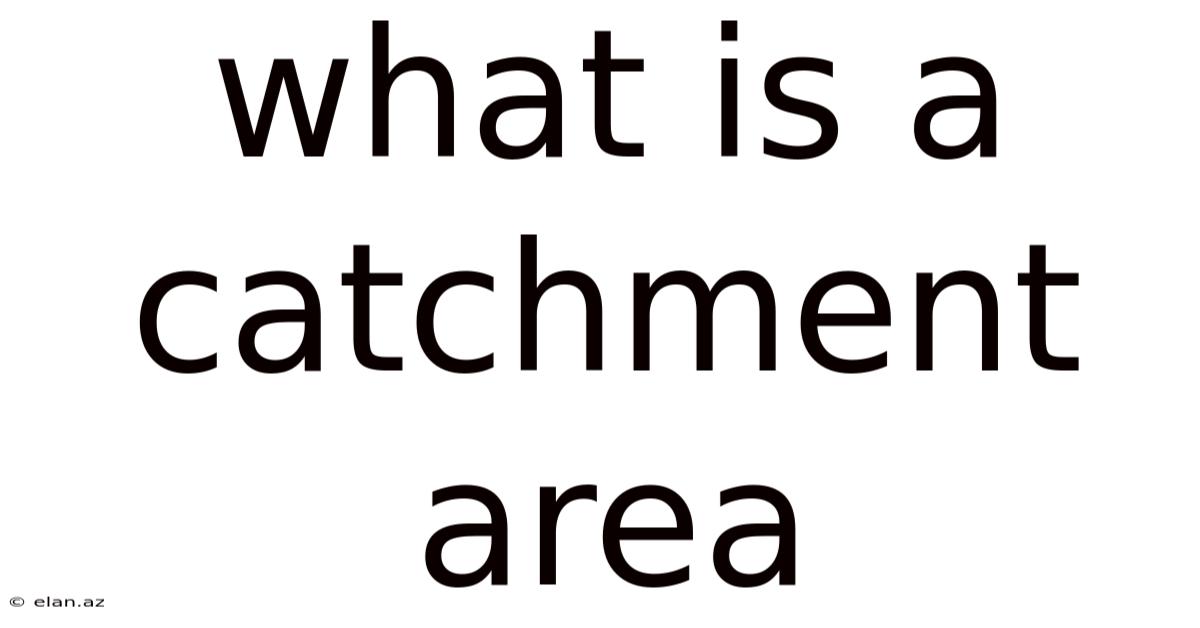 What Is A Catchment Area