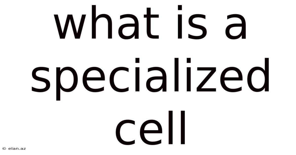 What Is A Specialized Cell