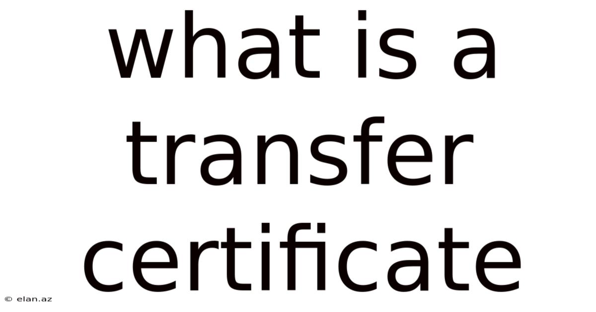 What Is A Transfer Certificate