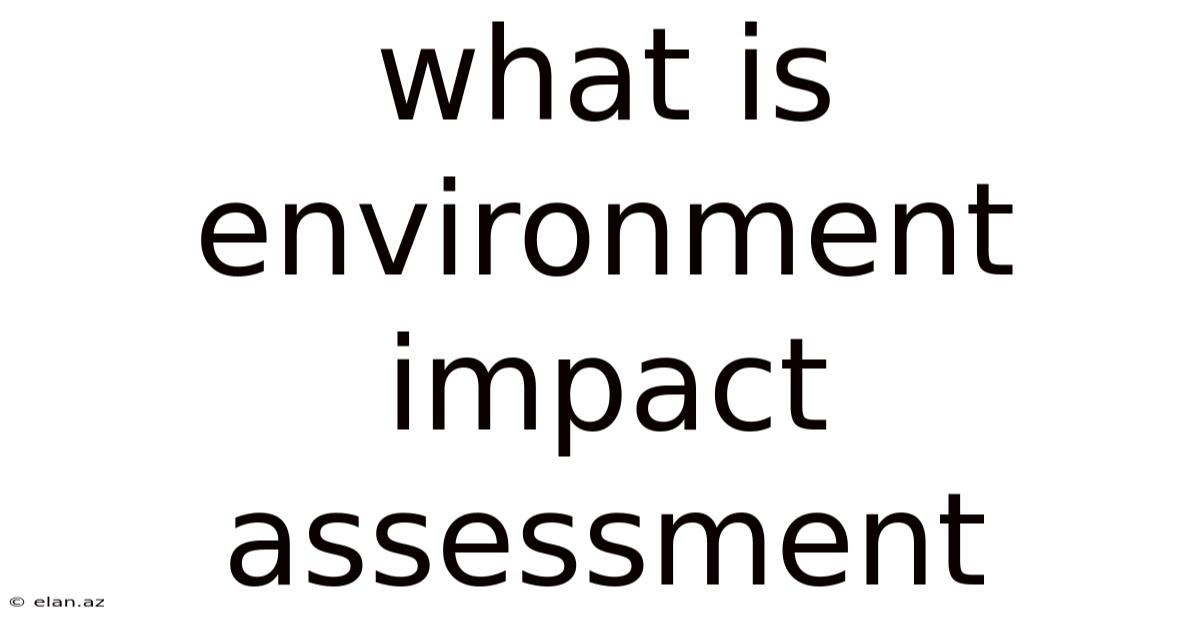 What Is Environment Impact Assessment
