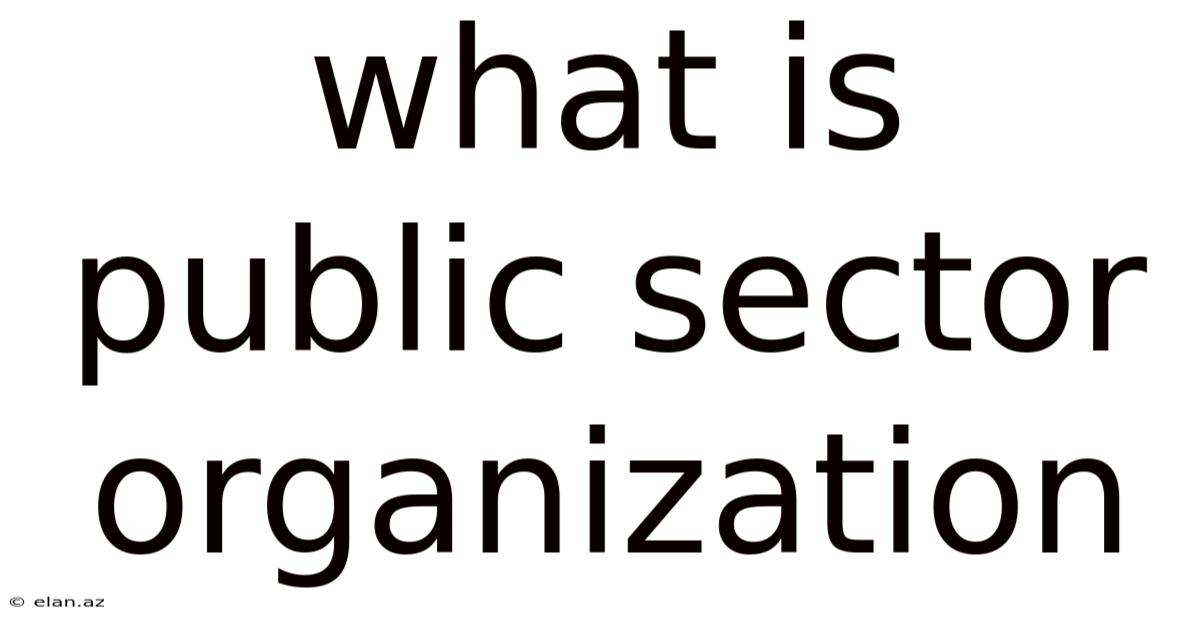 What Is Public Sector Organization