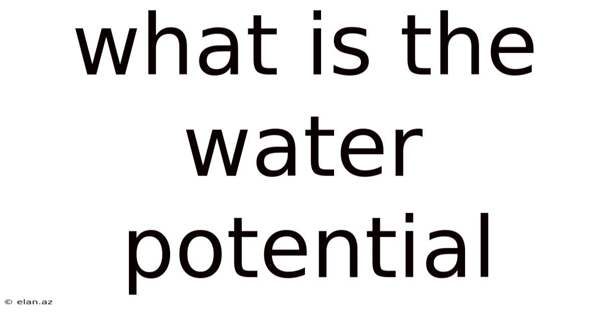 What Is The Water Potential