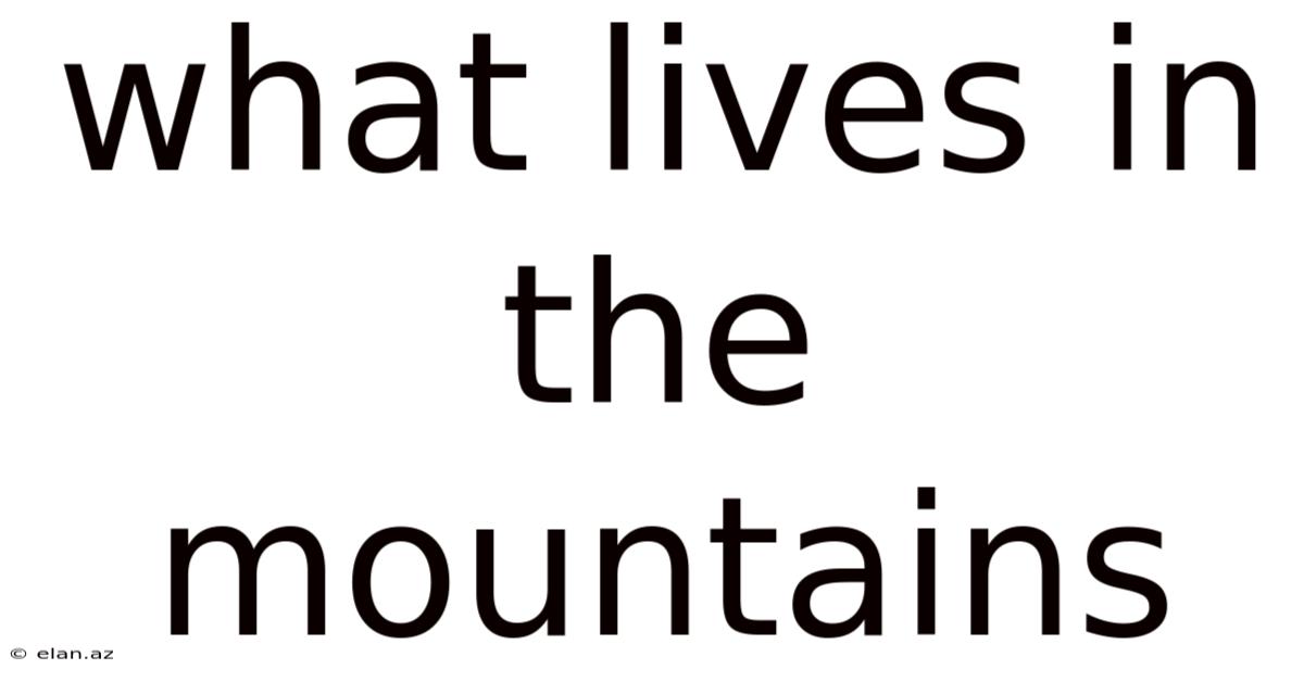 What Lives In The Mountains