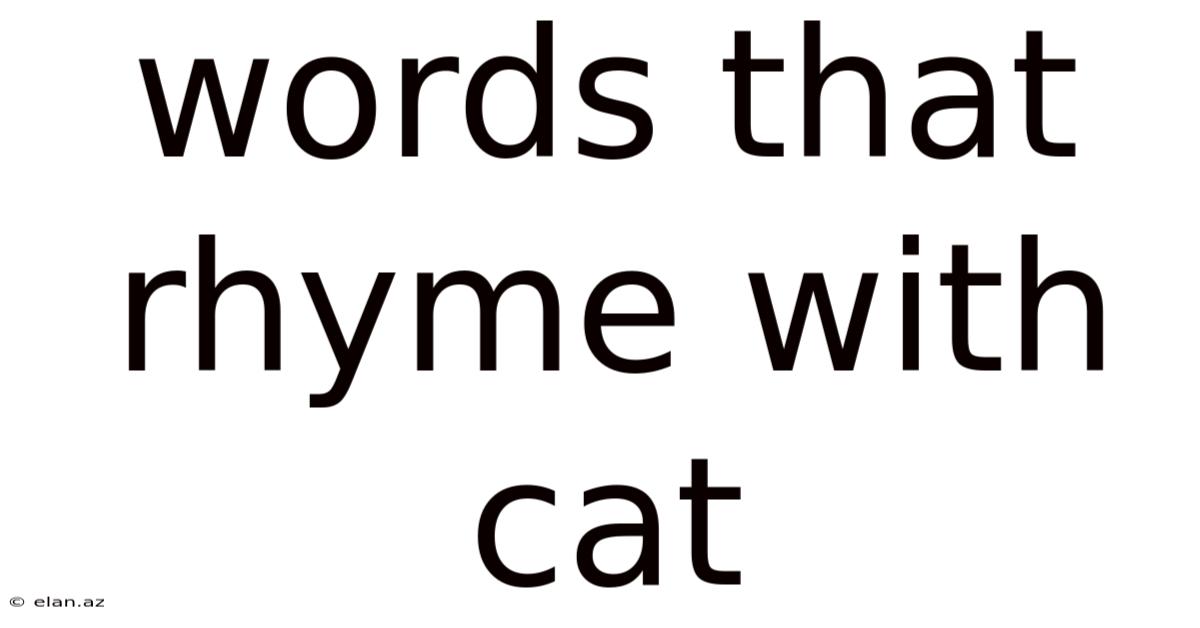 Words That Rhyme With Cat