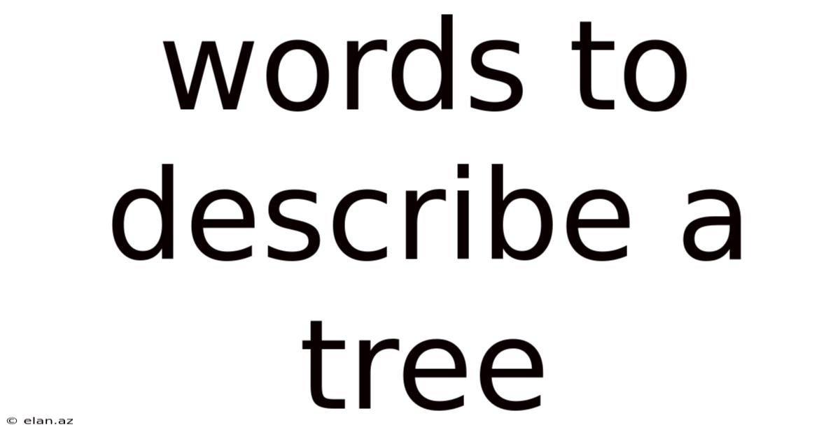 Words To Describe A Tree