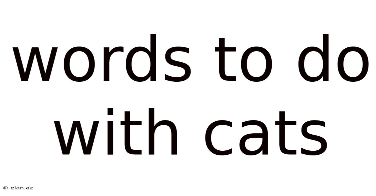 Words To Do With Cats